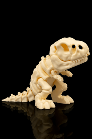 Skeleton T-Rex - 01